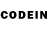 Псилоцибиновые грибы GOLDEN TEACHER Chedud3