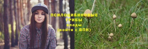 марки nbome Нязепетровск