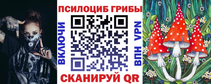 shop какой сайт  Дербент  Галлюциногенные грибы Psilocybine cubensis  даркнет сайт 